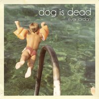 Lion Cub - D.I.D.