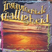Chariots Of Fire - Vangelis, 3, 2008 South Africa