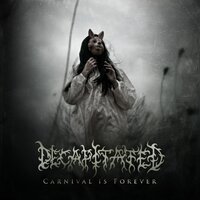 A View From A Hole - Decapitated