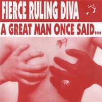 You Better Take This (Synthetic Voodoo) - Party Animals, Fierce Ruling Diva