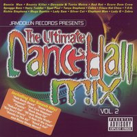 Hands In The Air - T.O.K