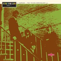 I Don't Ever Want To Come Down - The 13th Floor Elevators