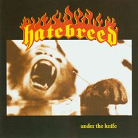 Kill An Addict - Hatebreed