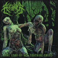 Supremacy Through Rejection - Acranius