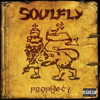 I Believe - Soulfly