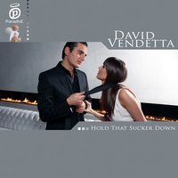 Hold That Sucker Down - David Vendetta