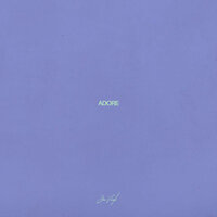 Adore - Jon Vinyl