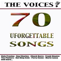 Where Does a Boraken Heart Go - Jim Reeves