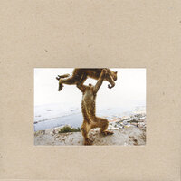 All the Surveyors - Shellac