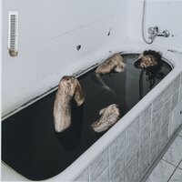 Кит - НЕДРЫ