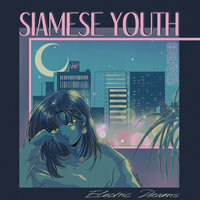 Coco - Siamese Youth